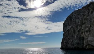 Another view from a Cabo Adventures boat ride / Photo: Melissa Paltrowitz