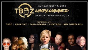 5th Annual T-Boz Unplugged Concert in support of Sickle Cell Disease