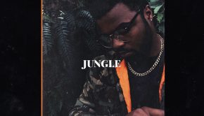 Adiell Mitchell Jungle EP