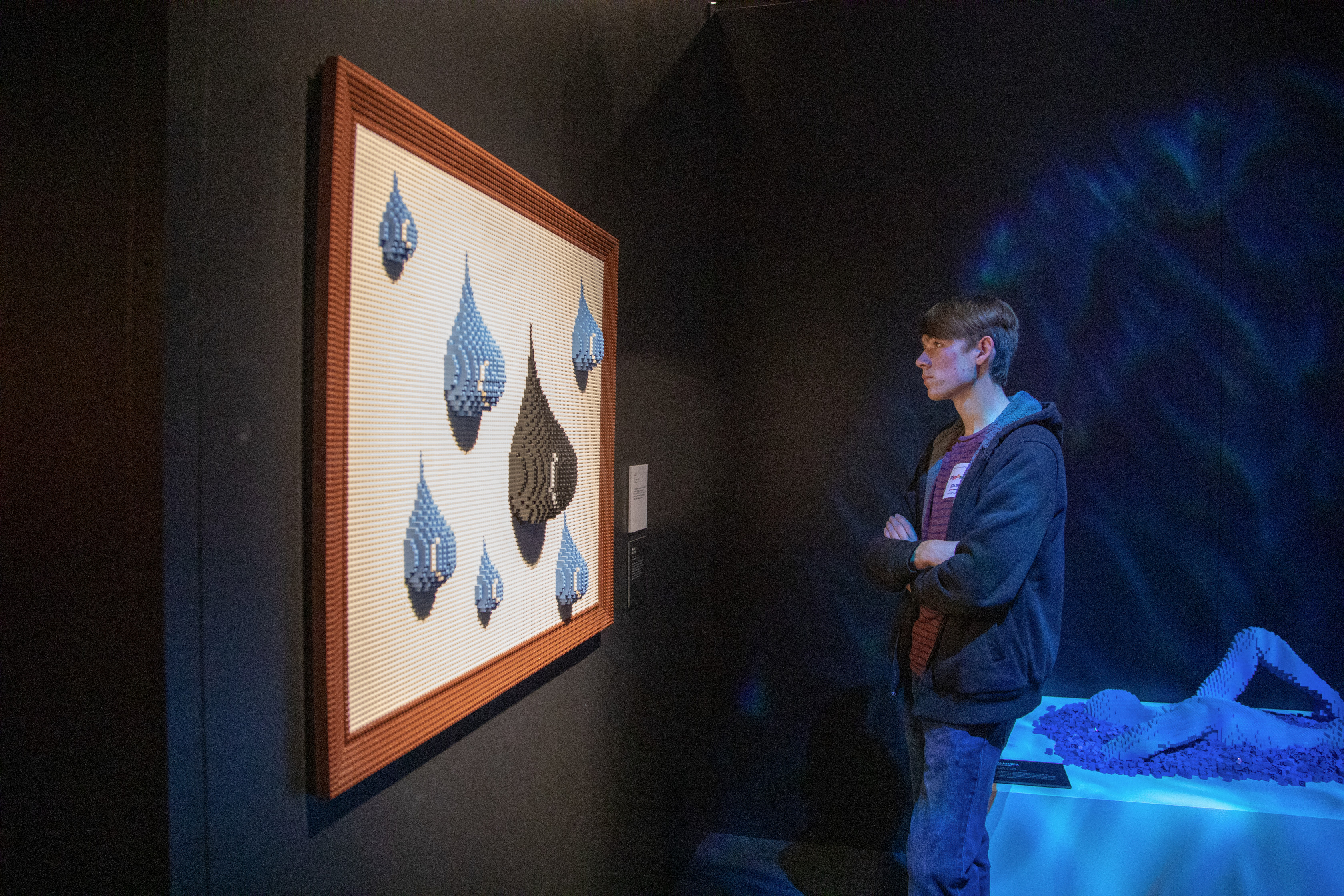 Visitor looks at Rain in The Art of the Brick traveling exhibition (PHOTO CREDIT: JerSean Golatt/Perot Museum of Nature and Science)
