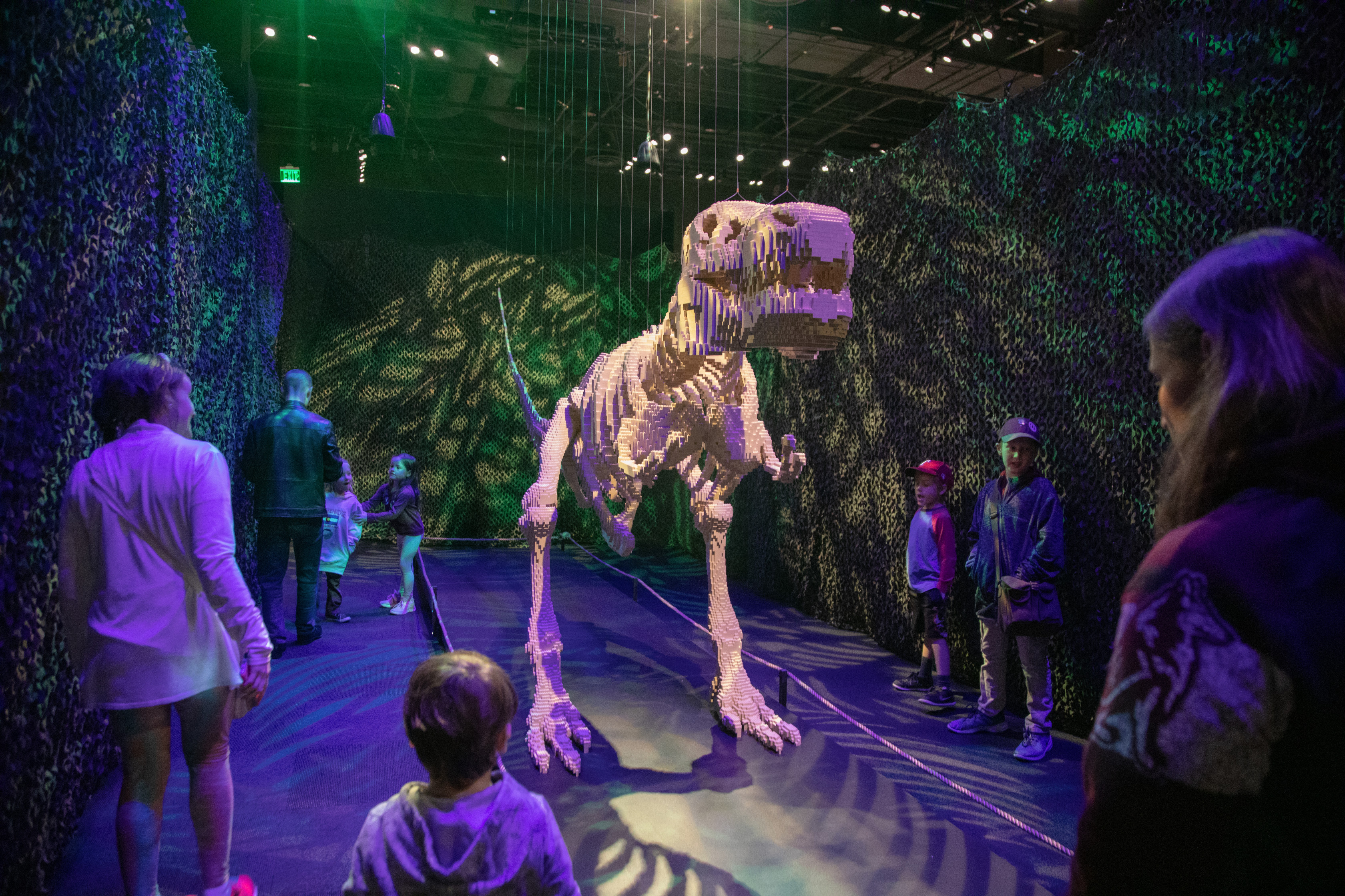 A 20’ long T. rex – made of more than 80,000 LEGO® bricks – is a signature piece in The Art of the Brick traveling exhibition (PHOTO CREDIT: JerSean Golatt/Perot Museum of Nature and Science)