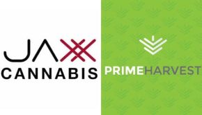 Prime Harvest Inc. Announces Third Dispensary License Approval in San Diego