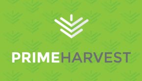 Prime Harvest Inc. Announces SEC Approval to Begin Regulation A+ Offering hosted on Weed 4 The People