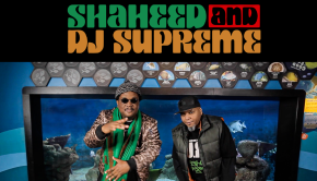 Shaheed and DJ Supreme - WoW - art