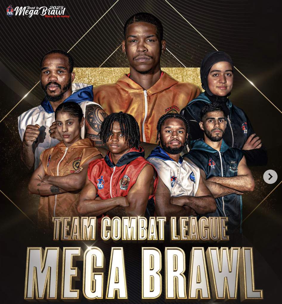 Team Combat League - Mega Brawl 