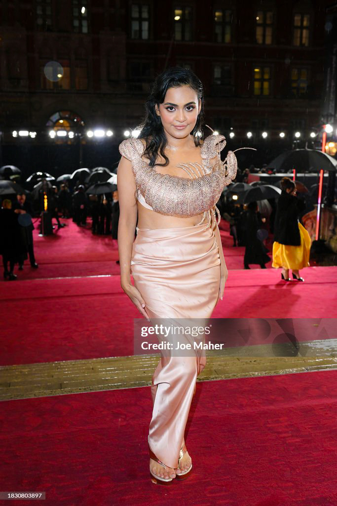 LONDON, ENGLAND - DECEMBER 04: Nikita Karizma attends The Fashion Awards 2023 presented by Pandora at the Royal Albert Hall on December 04, 2023 in London, England. (Photo by Joe Maher/Getty Images)