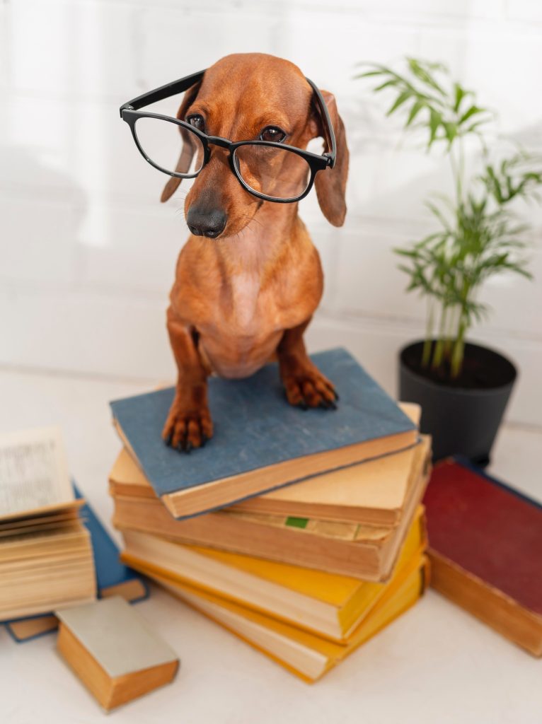 cute-dog-with-glasses-sitting-books - Image by Freepiks